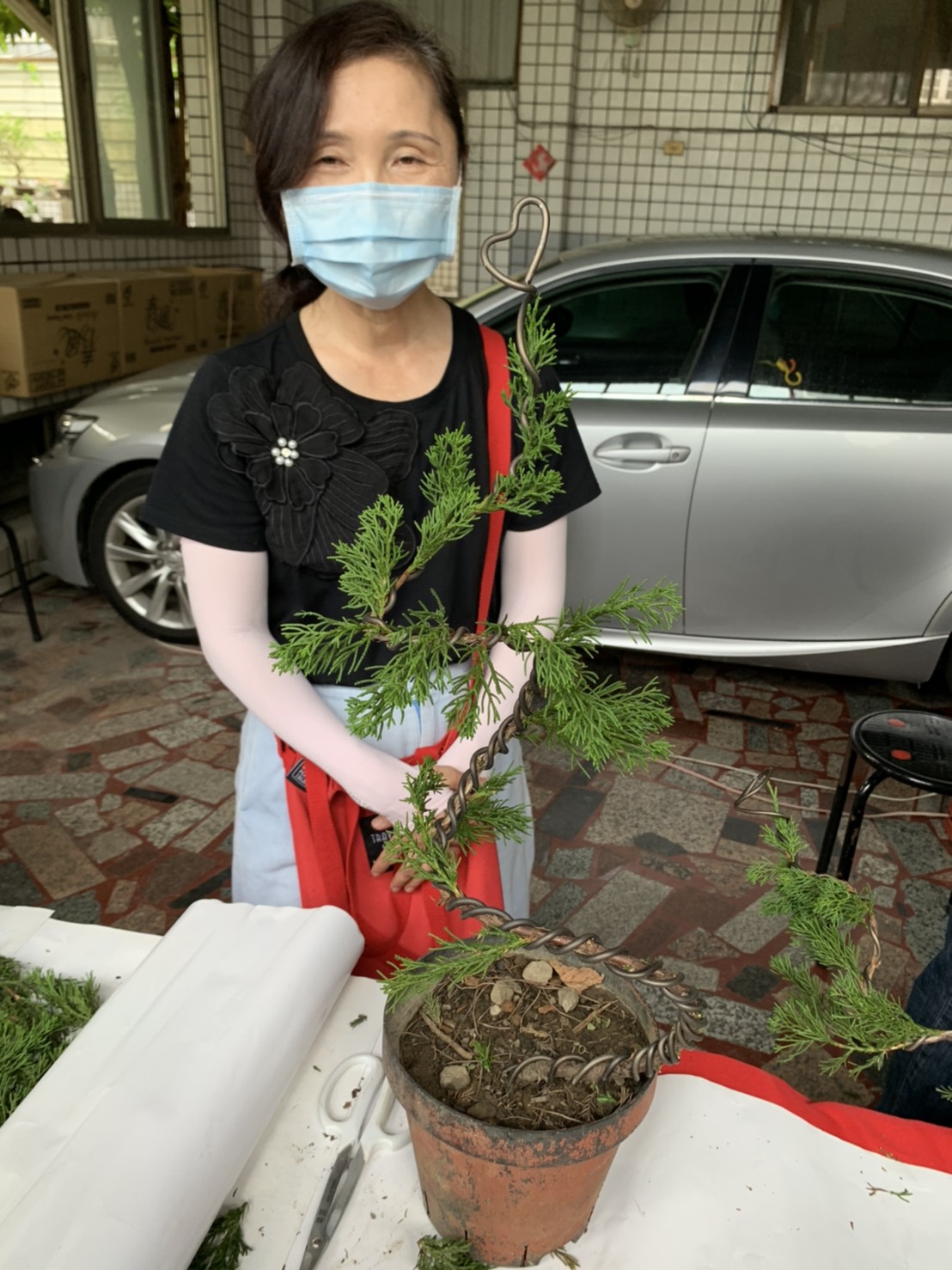 小品盆景創作班