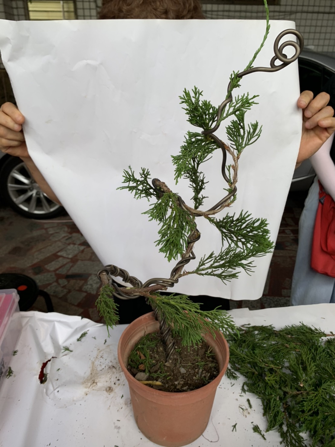 小品盆景創作班