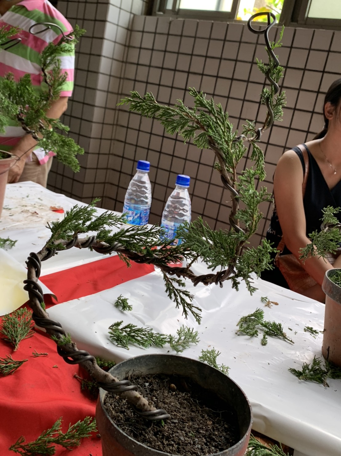 小品盆景創作班