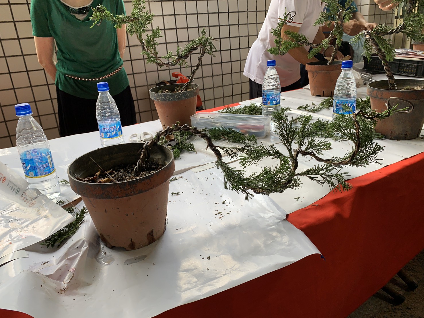 小品盆景創作班