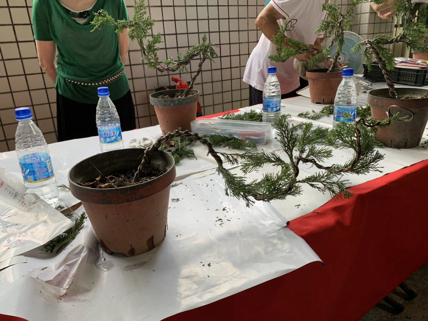 小品盆景創作班