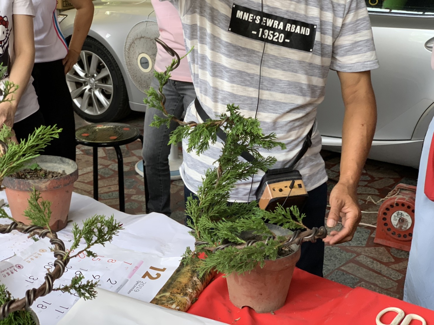 小品盆景創作班