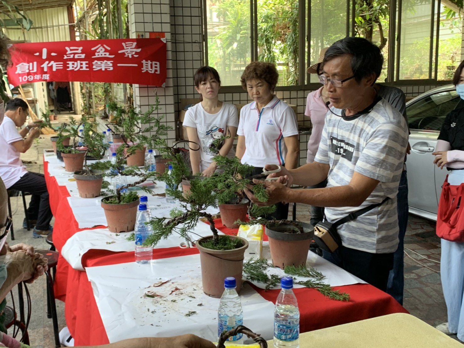 小品盆景創作班