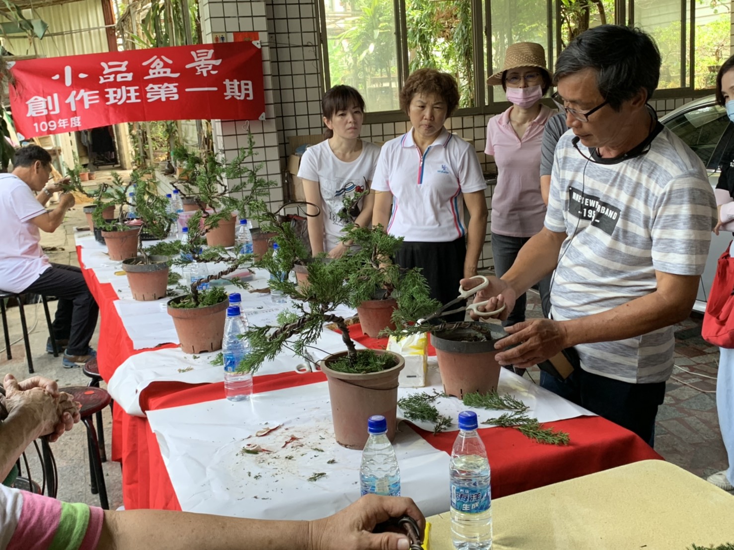 小品盆景創作班