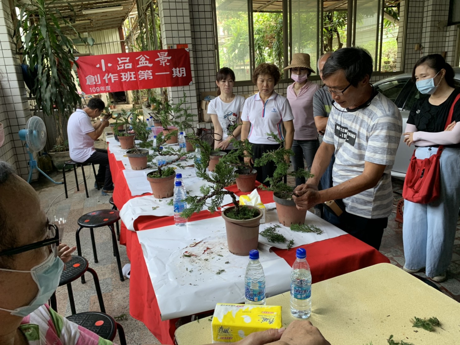 小品盆景創作班