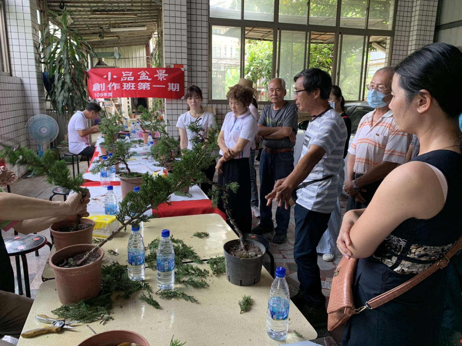 小品盆景創作班