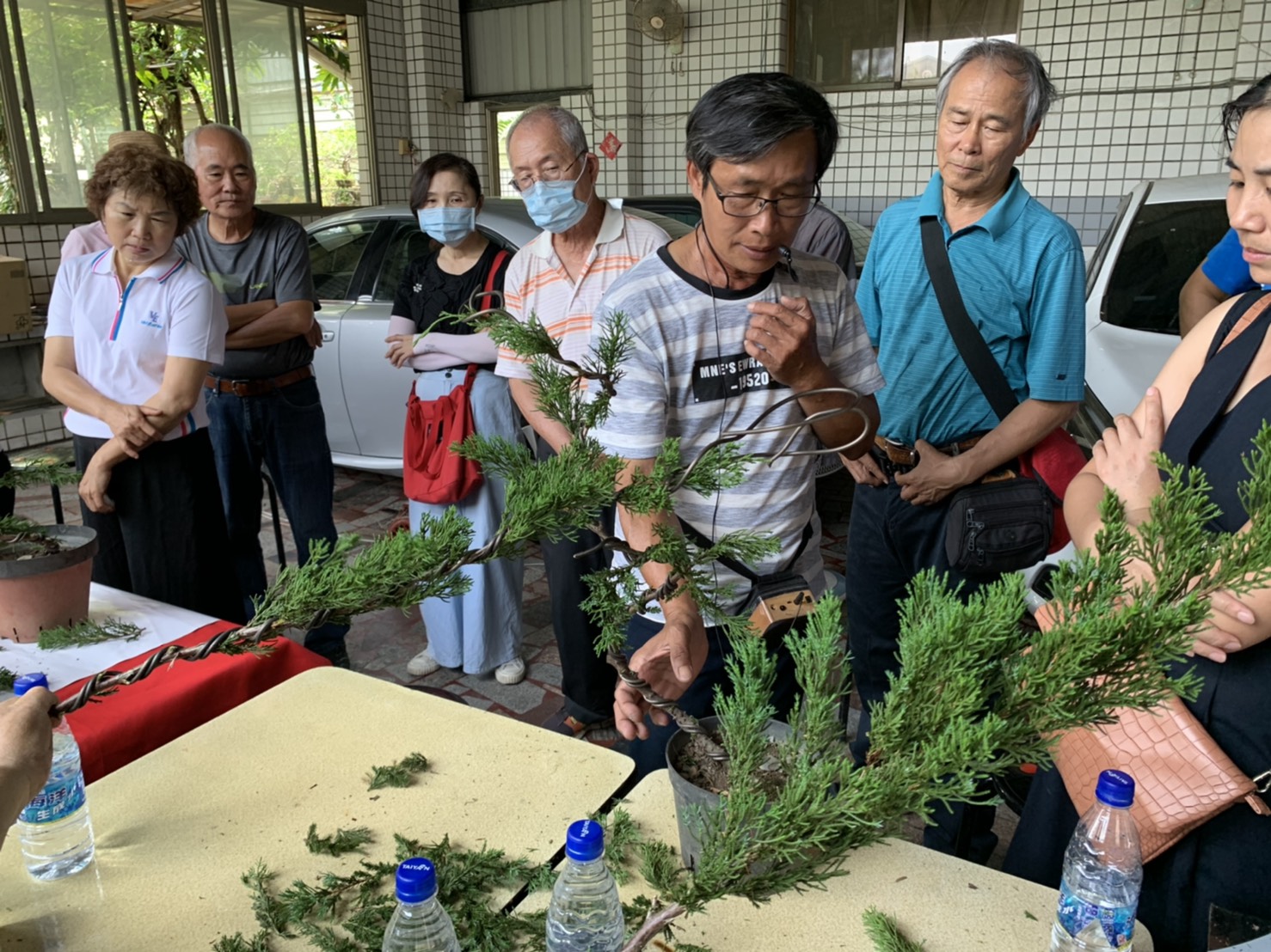 小品盆景創作班