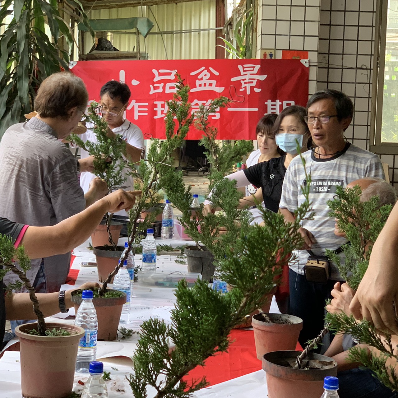 小品盆景創作班