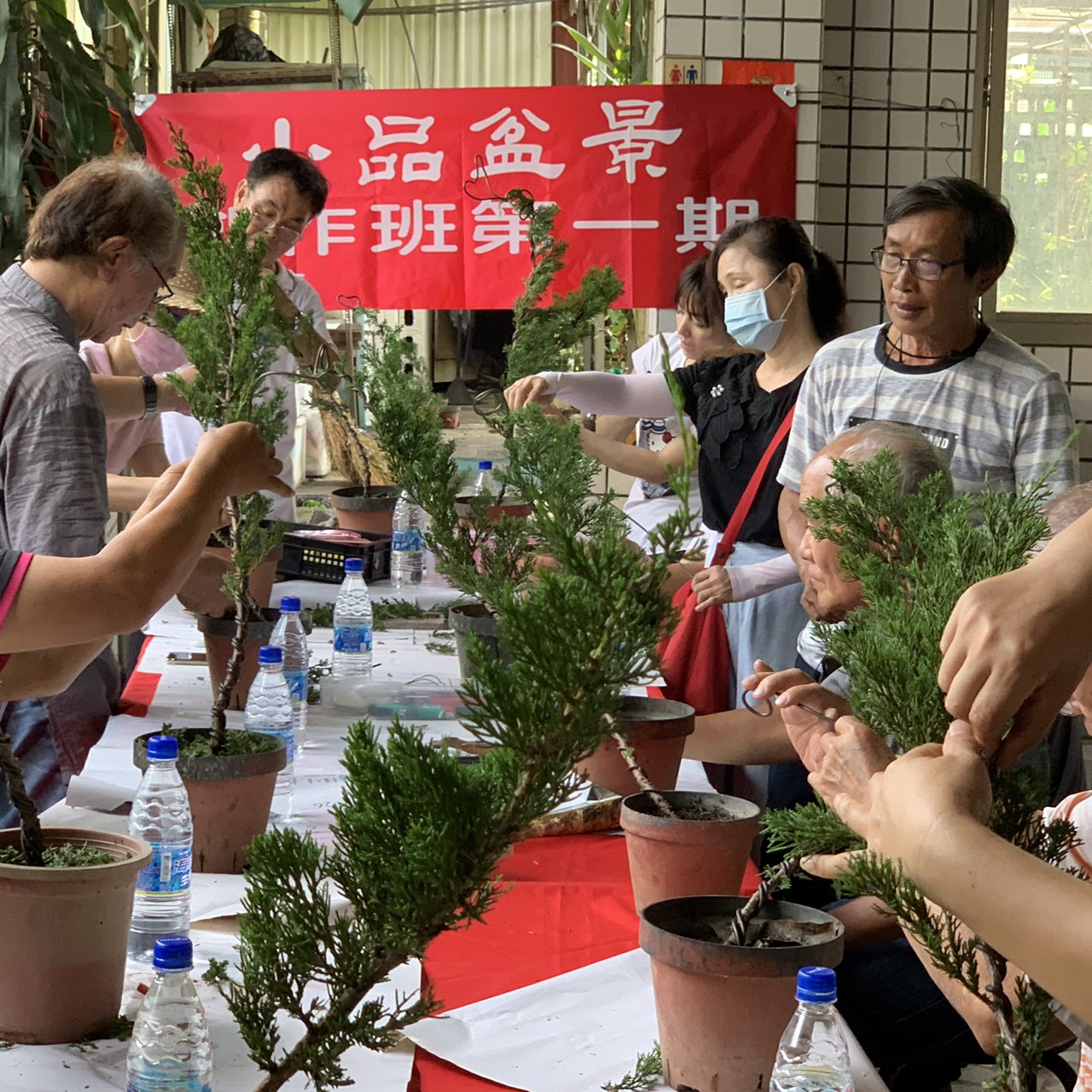 小品盆景創作班