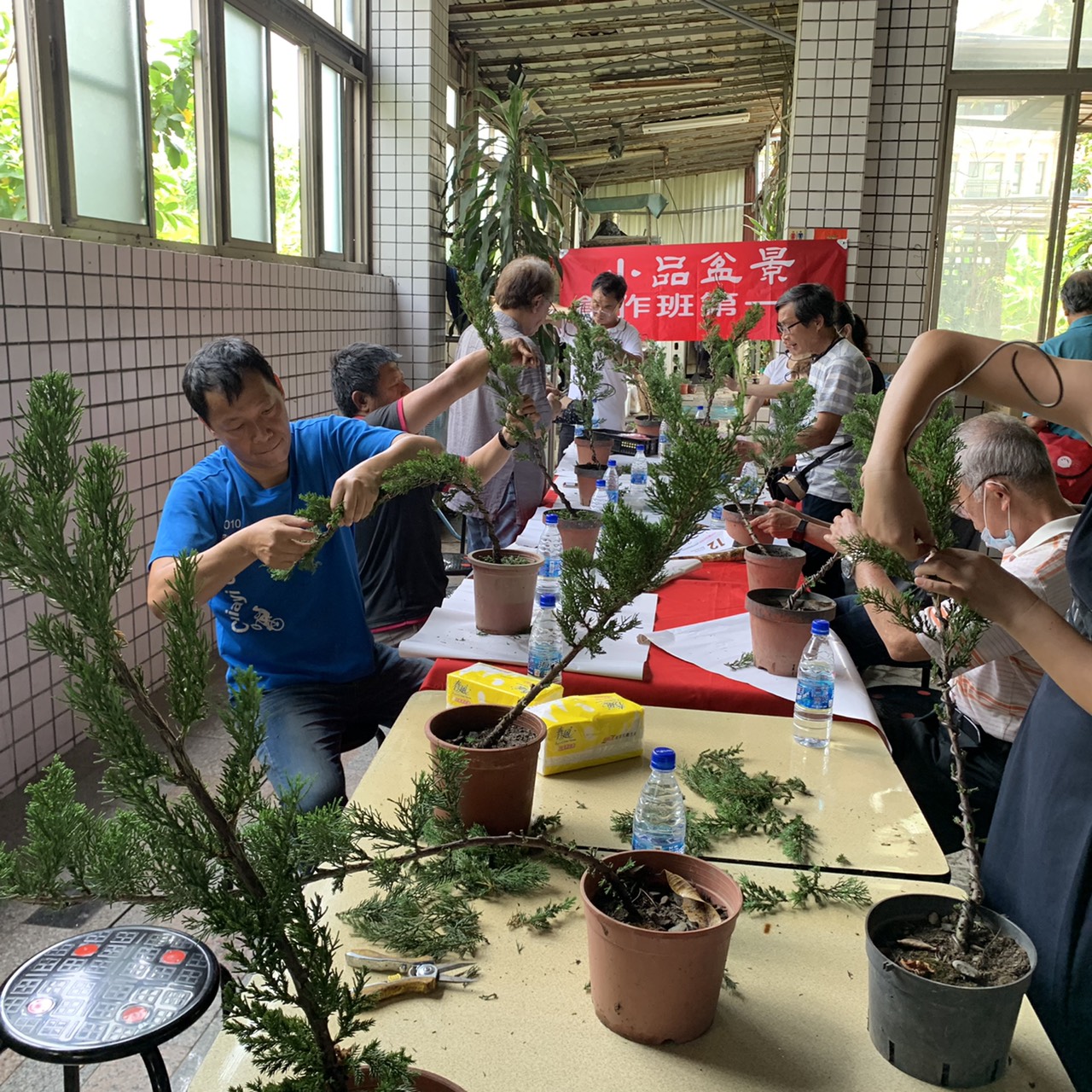小品盆景創作班