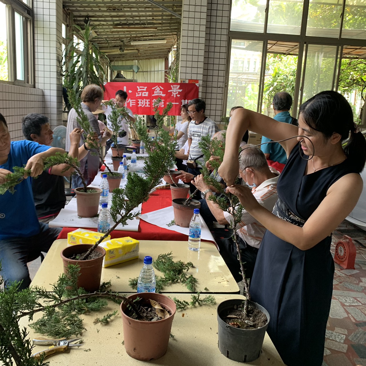 小品盆景創作班