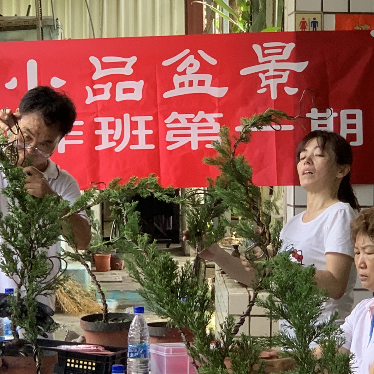 小品盆景創作班