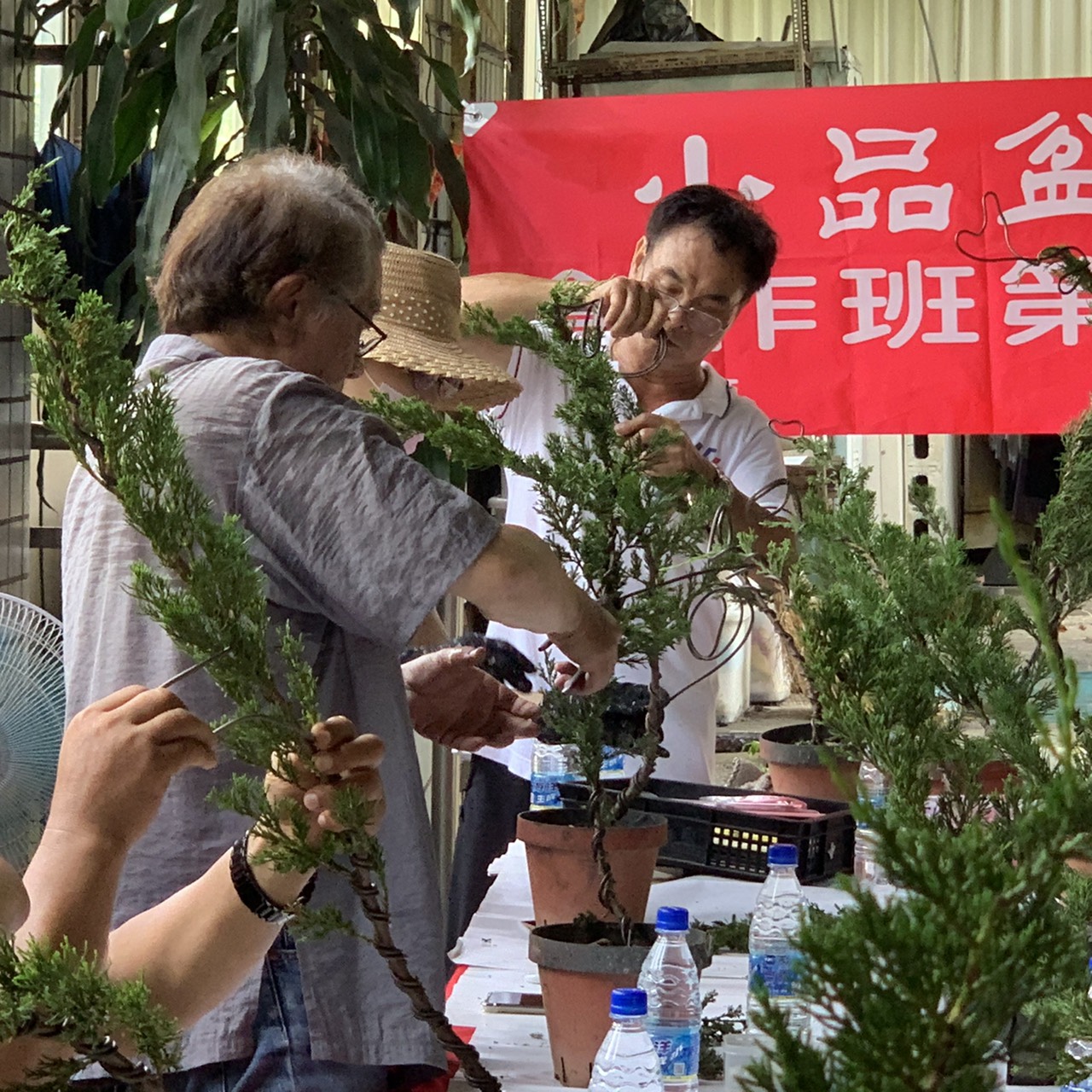 小品盆景創作班