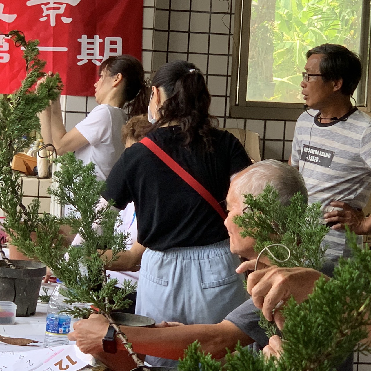 小品盆景創作班