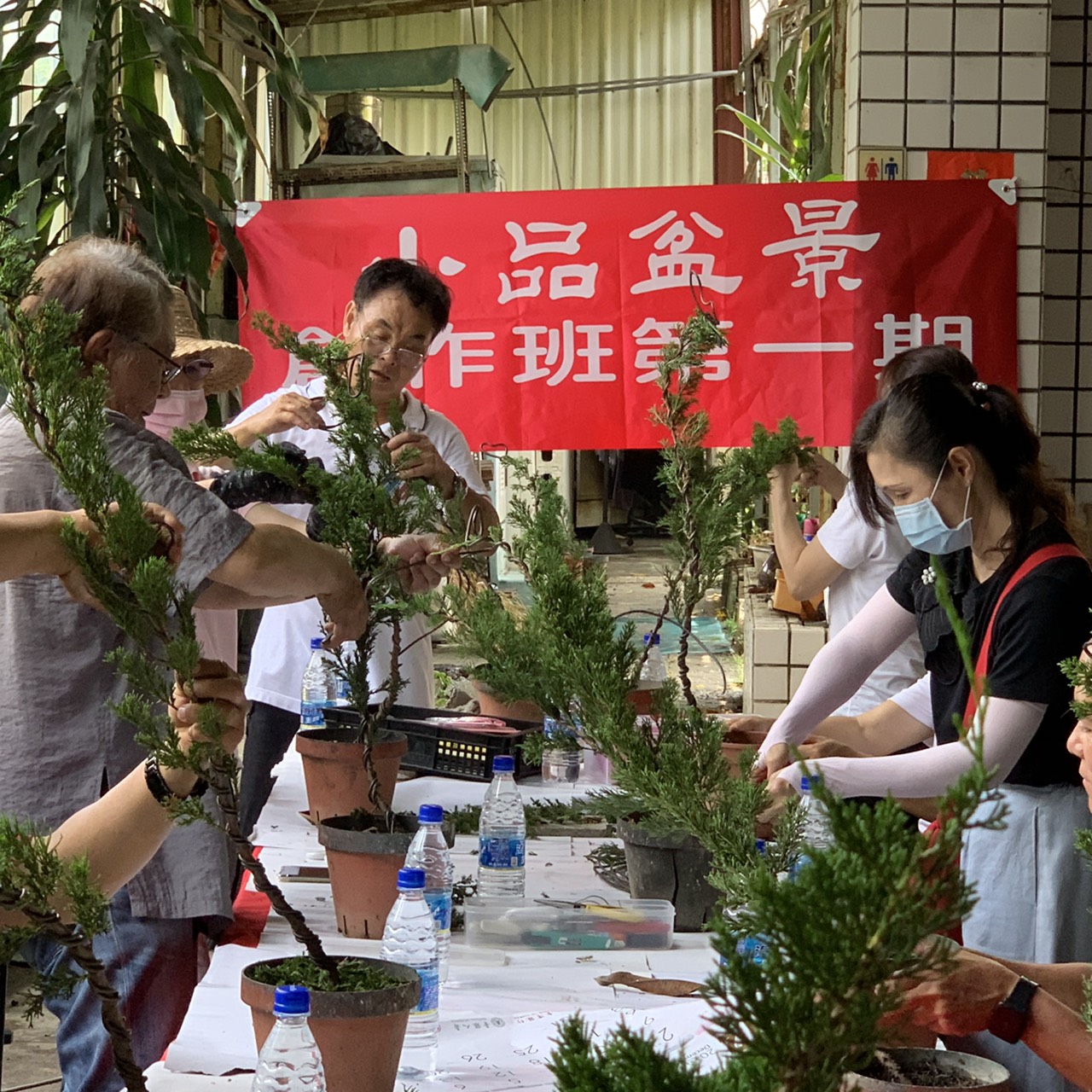 小品盆景創作班