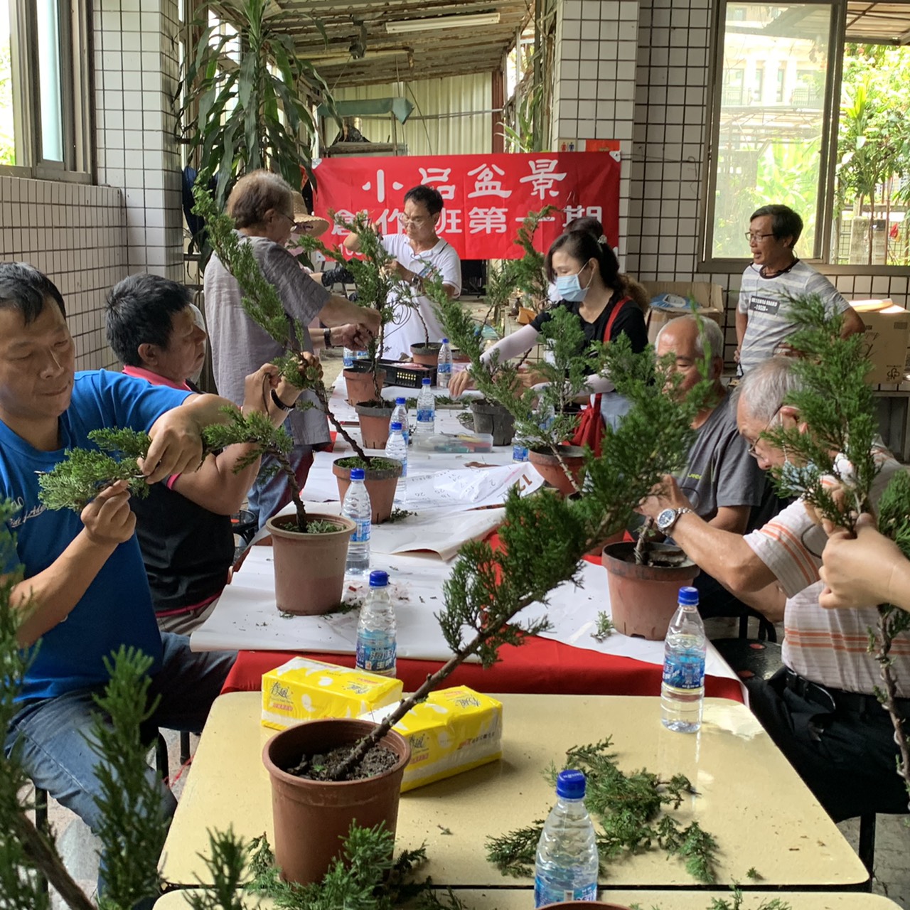 小品盆景創作班