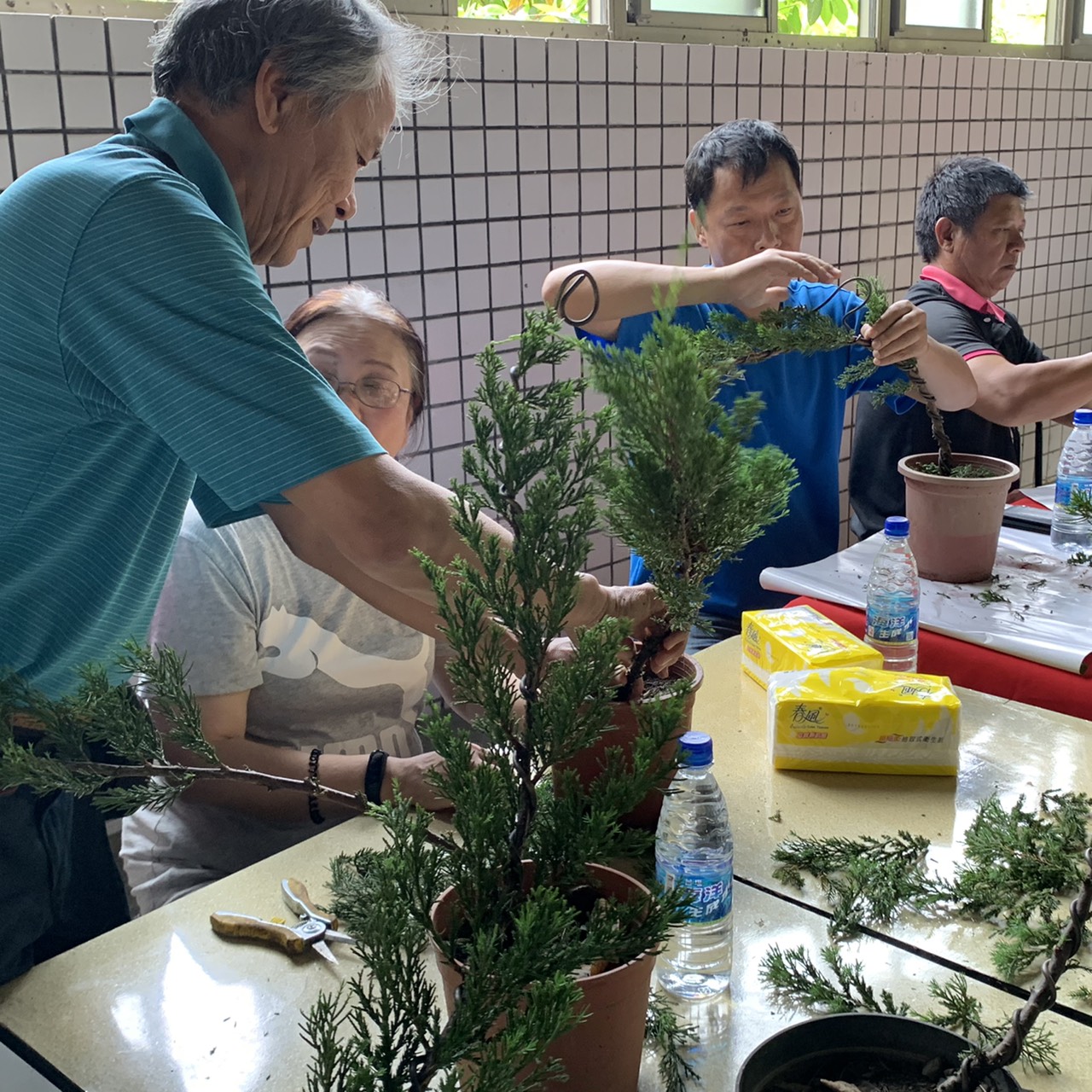 小品盆景創作班