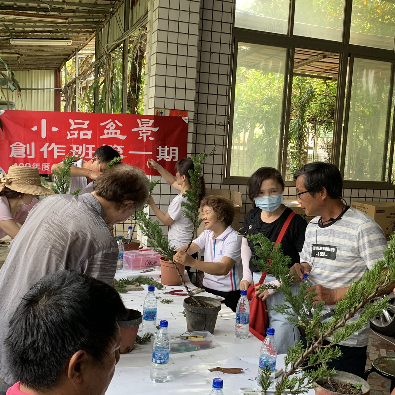 小品盆景創作班