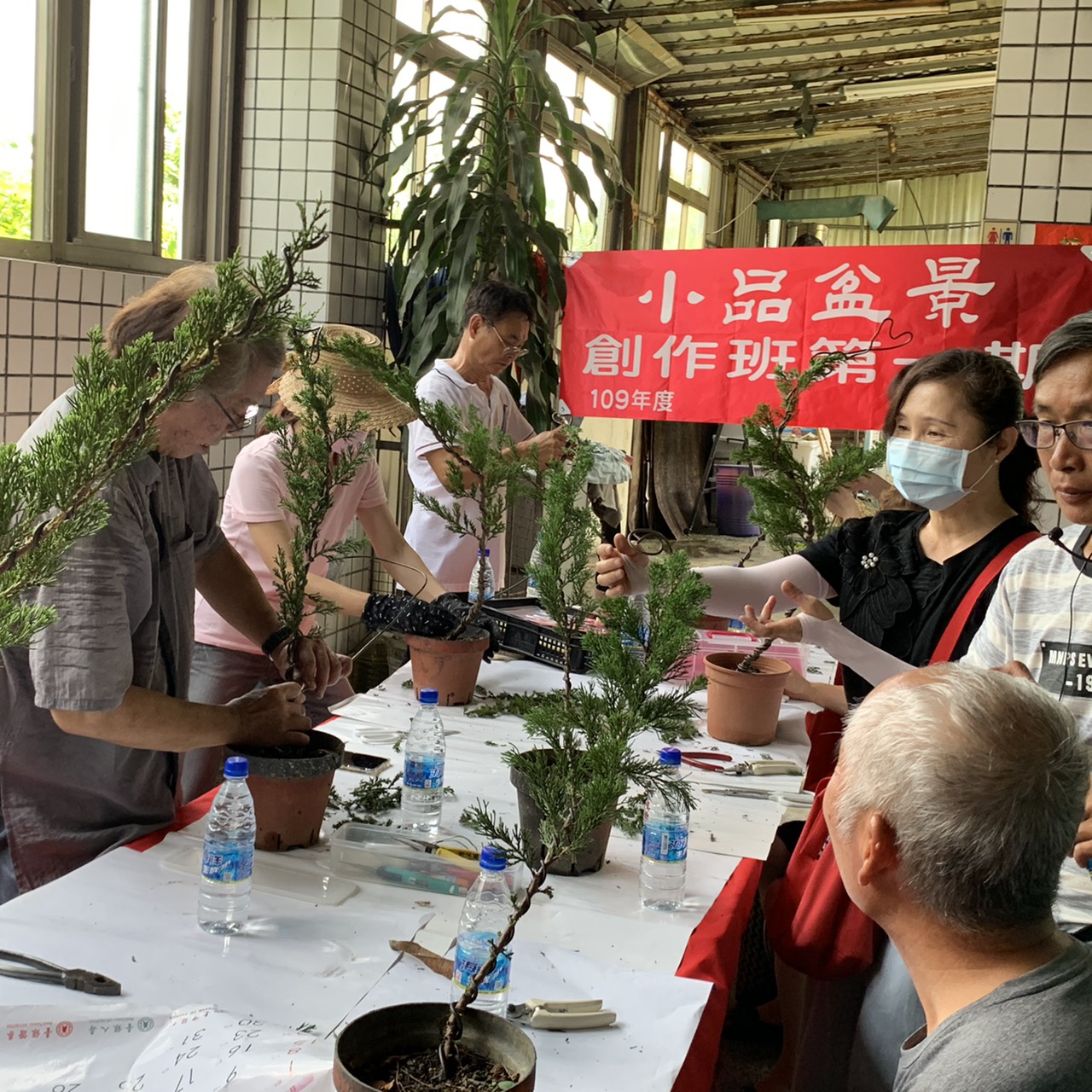 小品盆景創作班