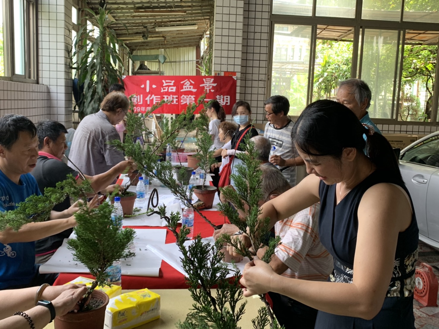小品盆景創作班
