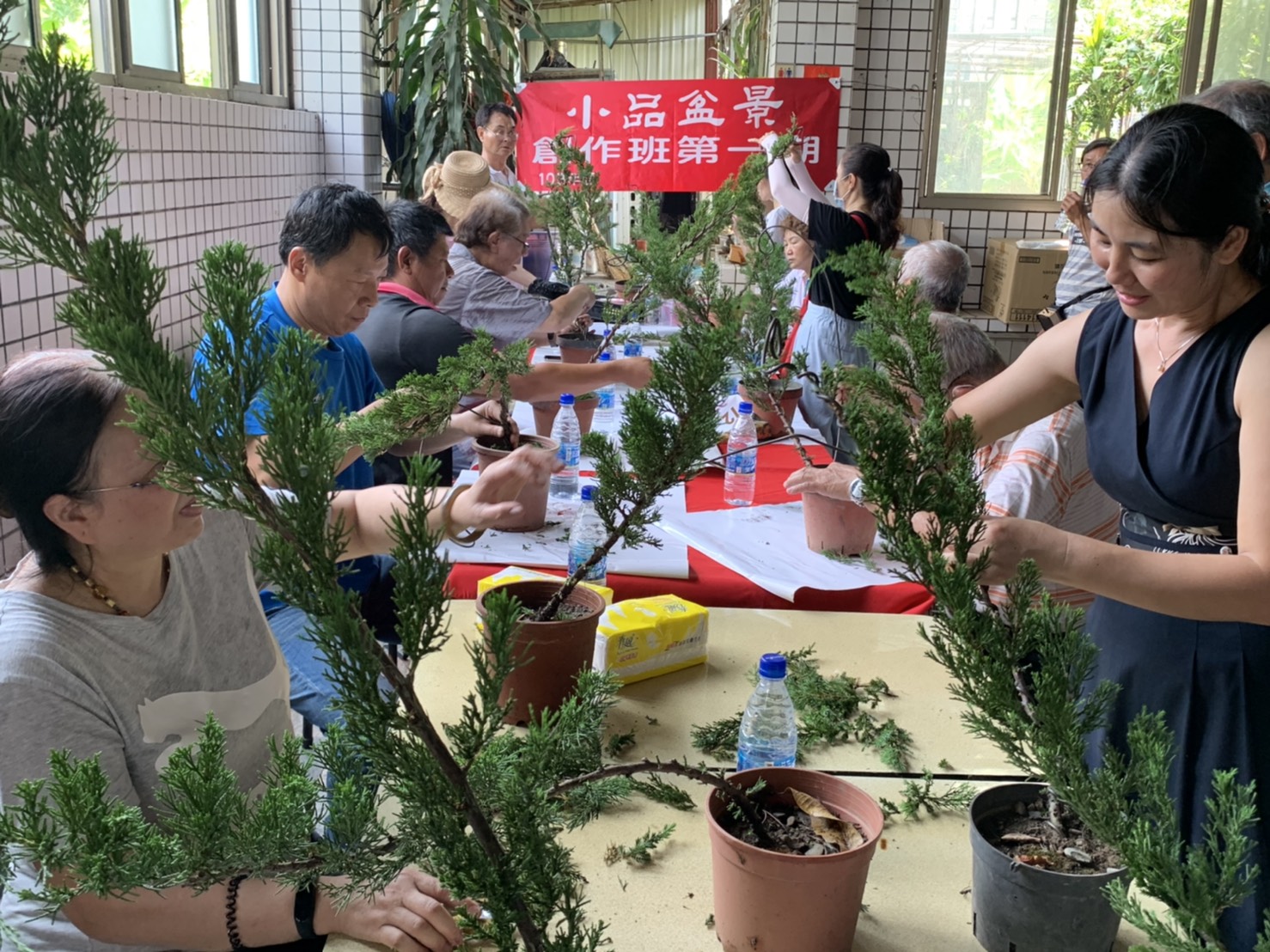 小品盆景創作班