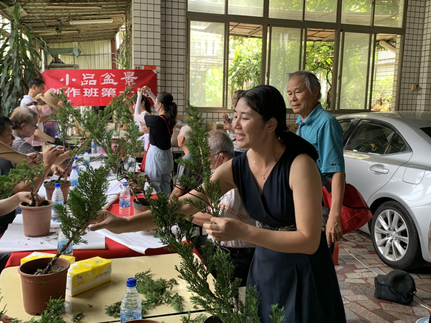 小品盆景創作班