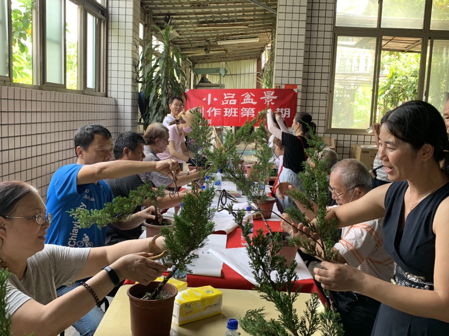 小品盆景創作班