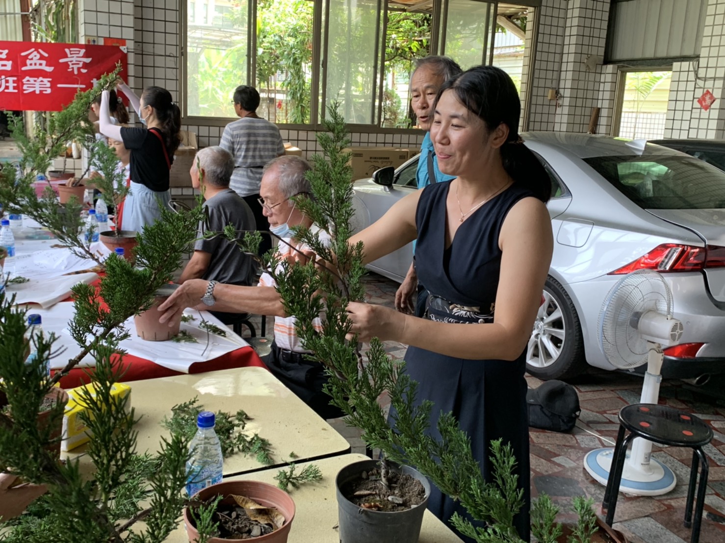 小品盆景創作班