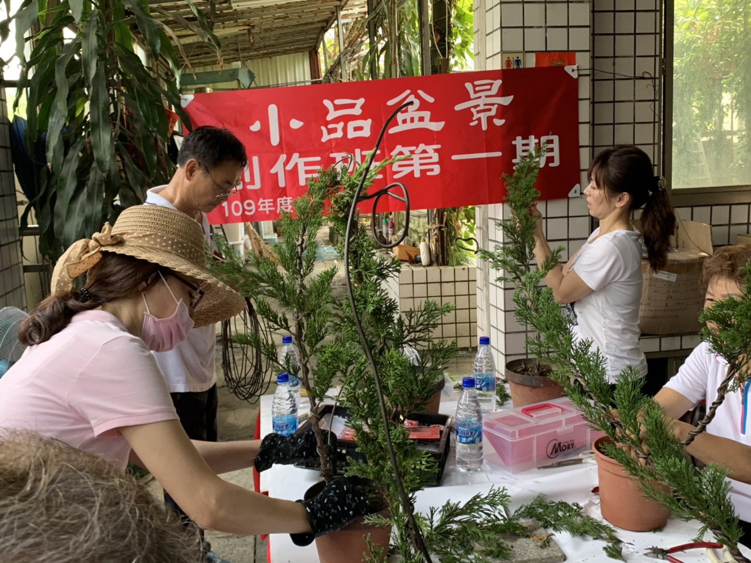 小品盆景創作班