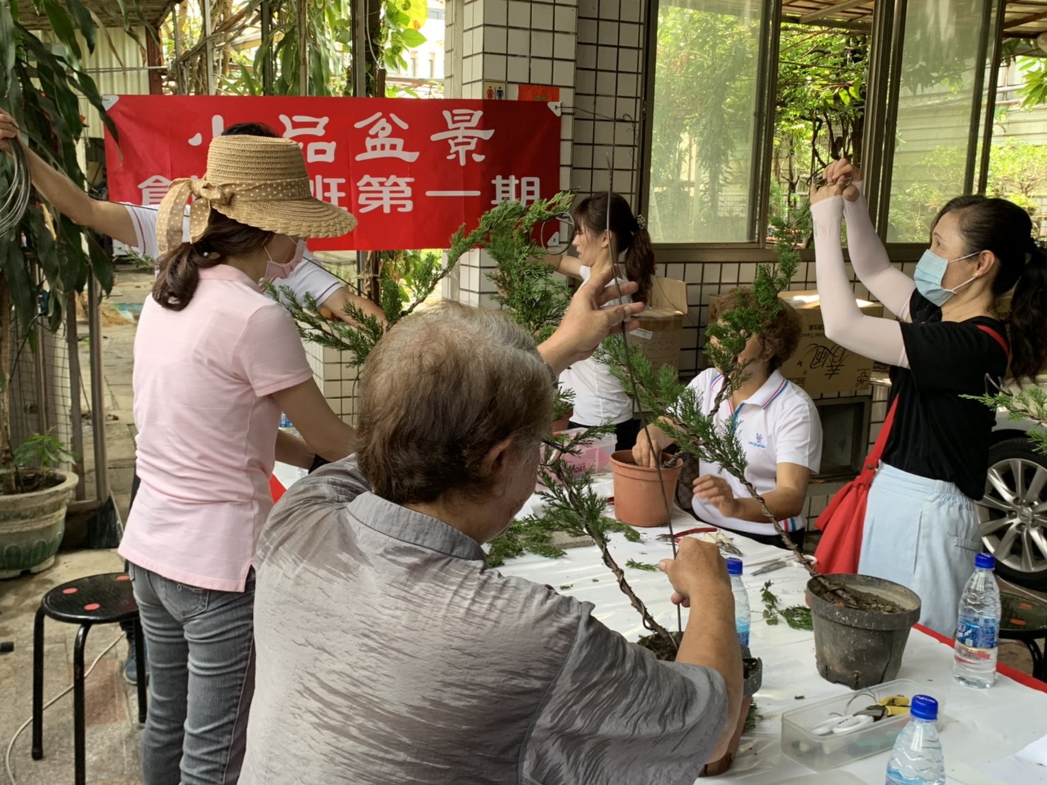 小品盆景創作班