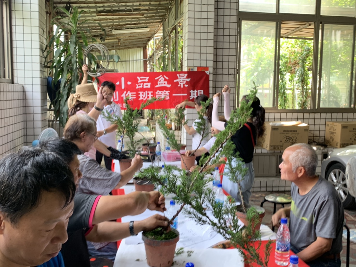 小品盆景創作班