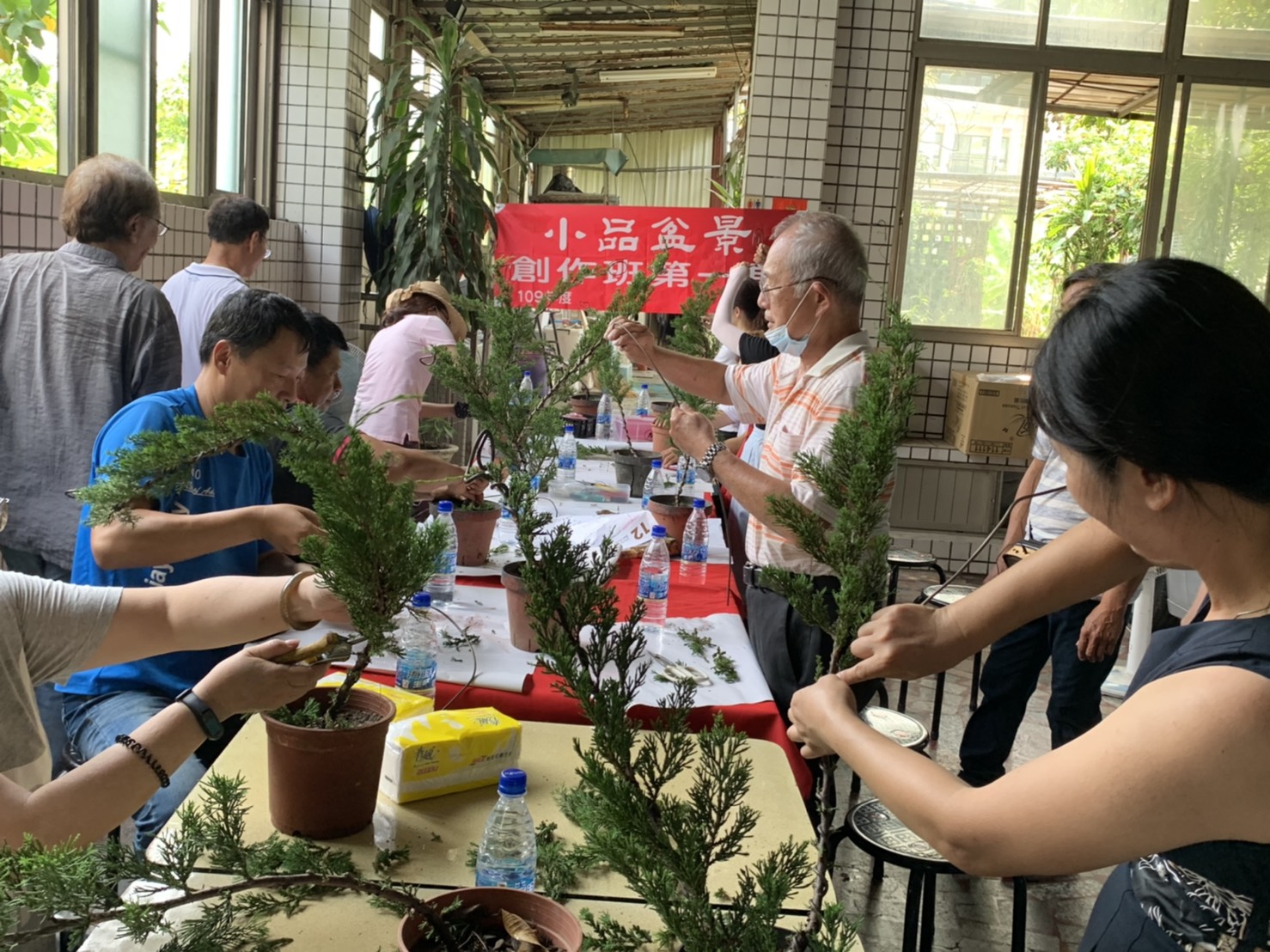 小品盆景創作班