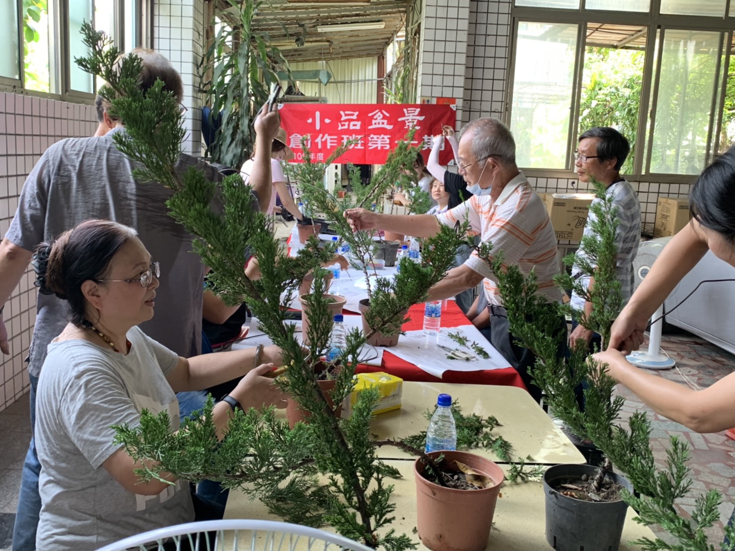 小品盆景創作班