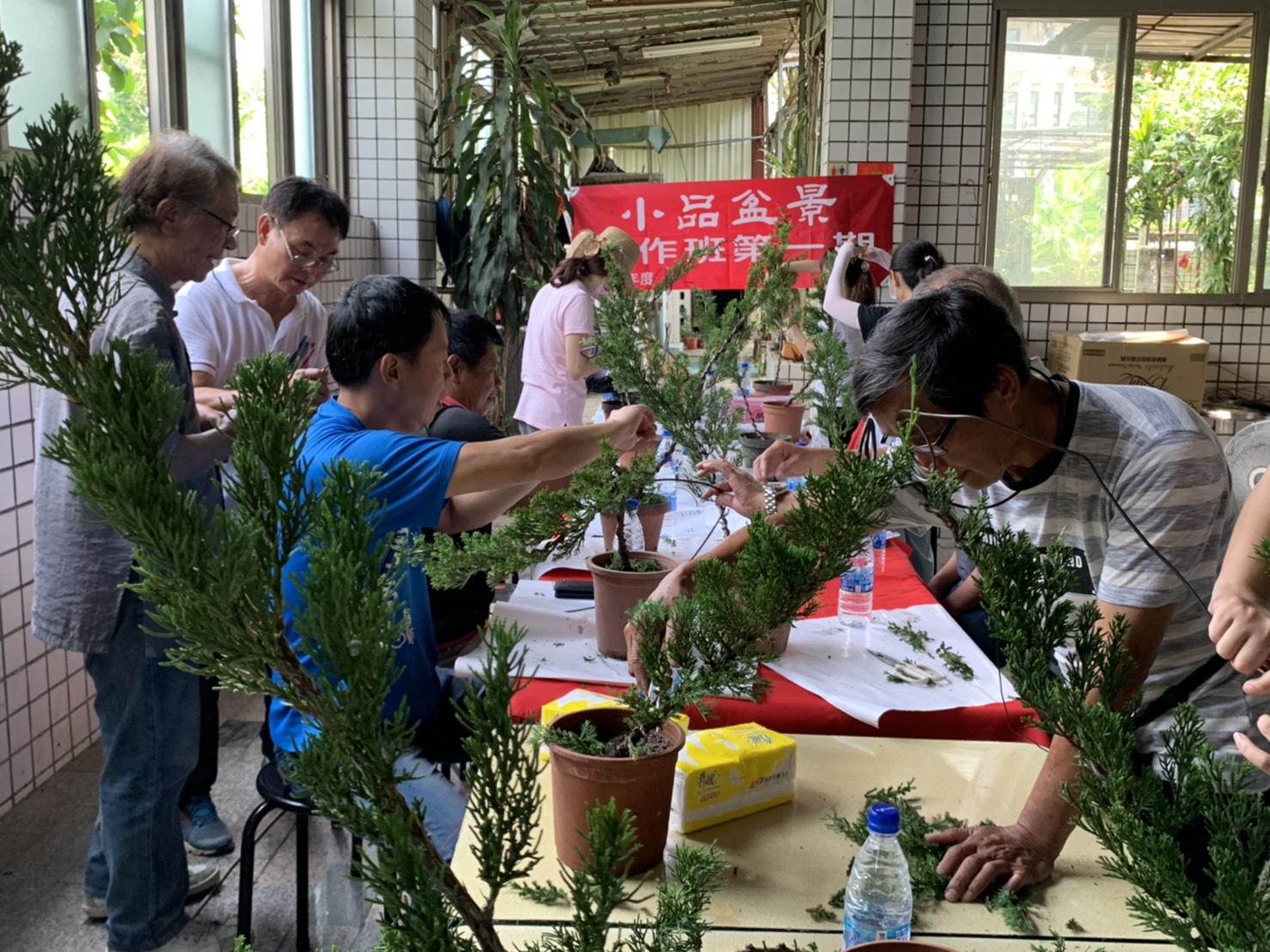 小品盆景創作班