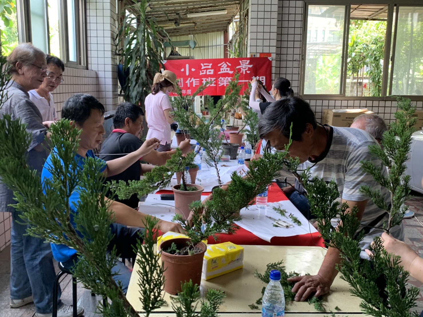 小品盆景創作班