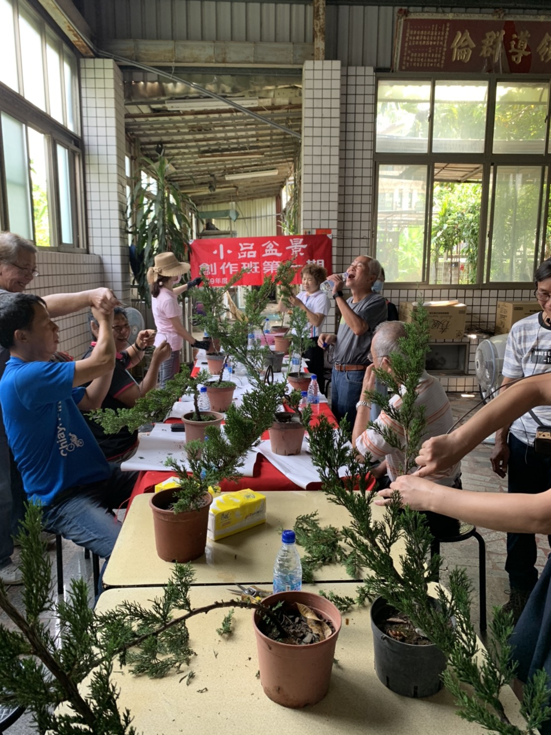 小品盆景創作班