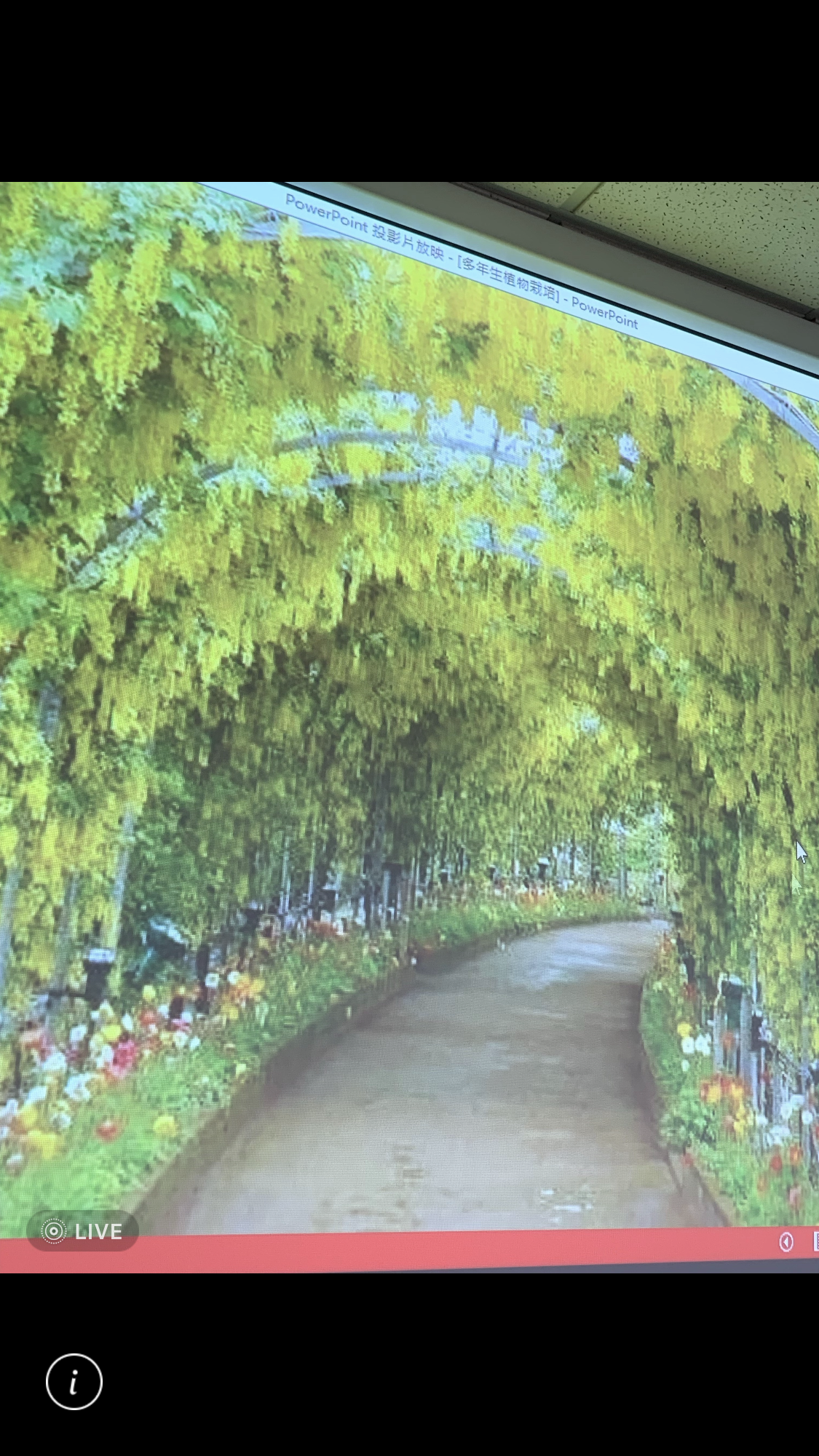 造園景觀訓練班