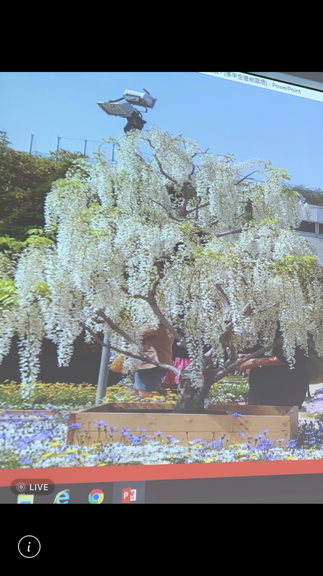 造園景觀訓練班