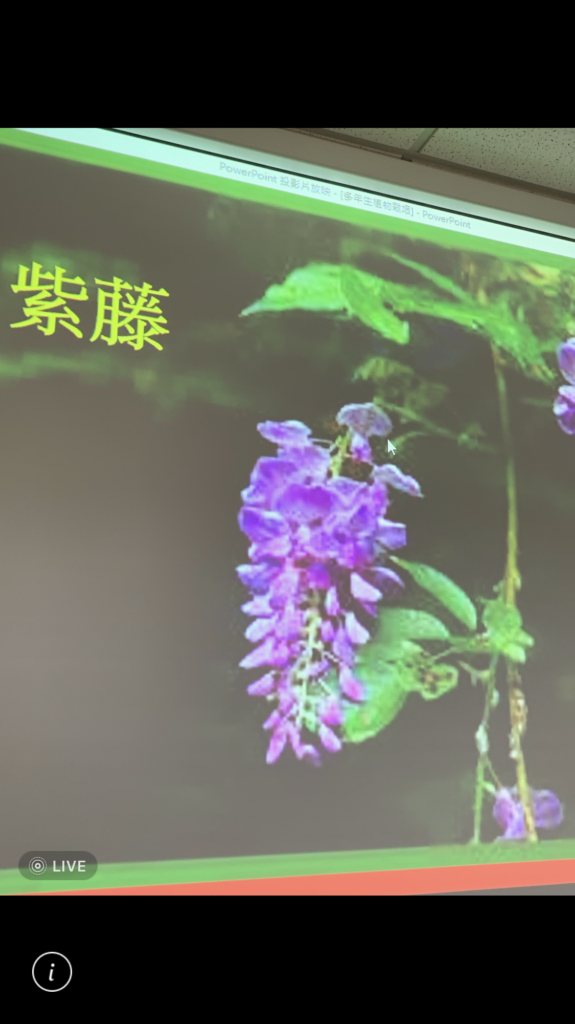 造園景觀訓練班