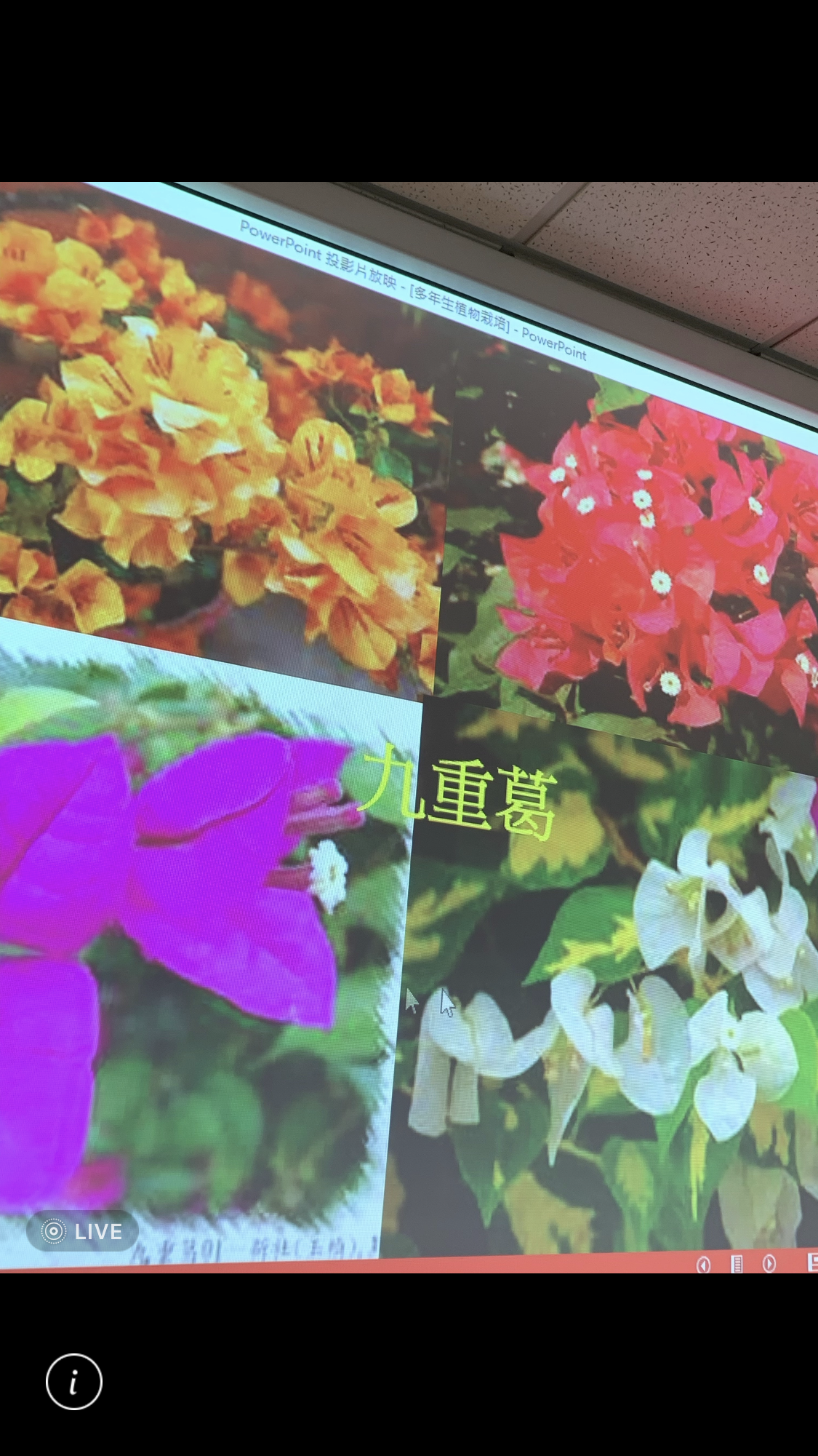 造園景觀訓練班