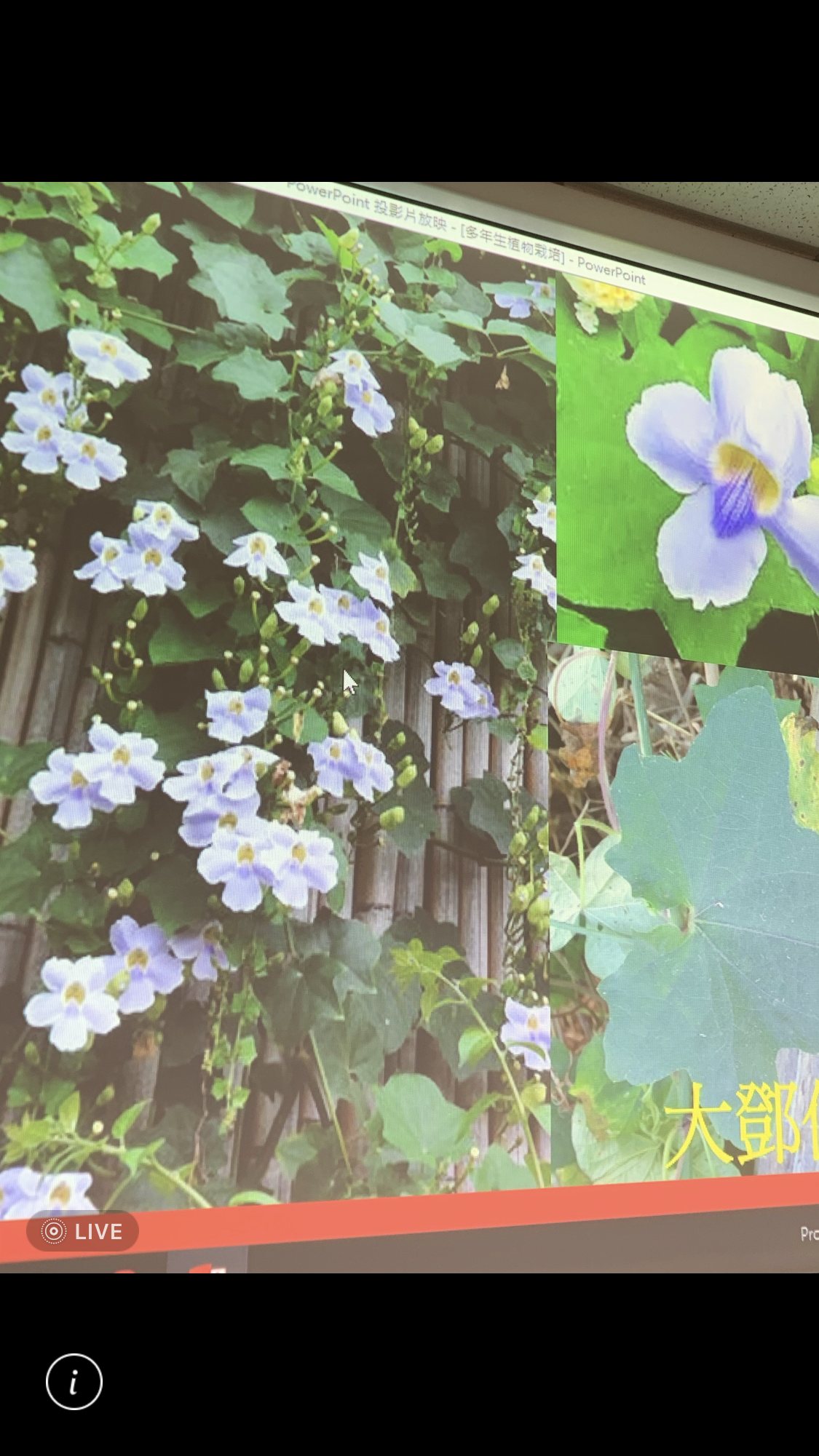 造園景觀訓練班