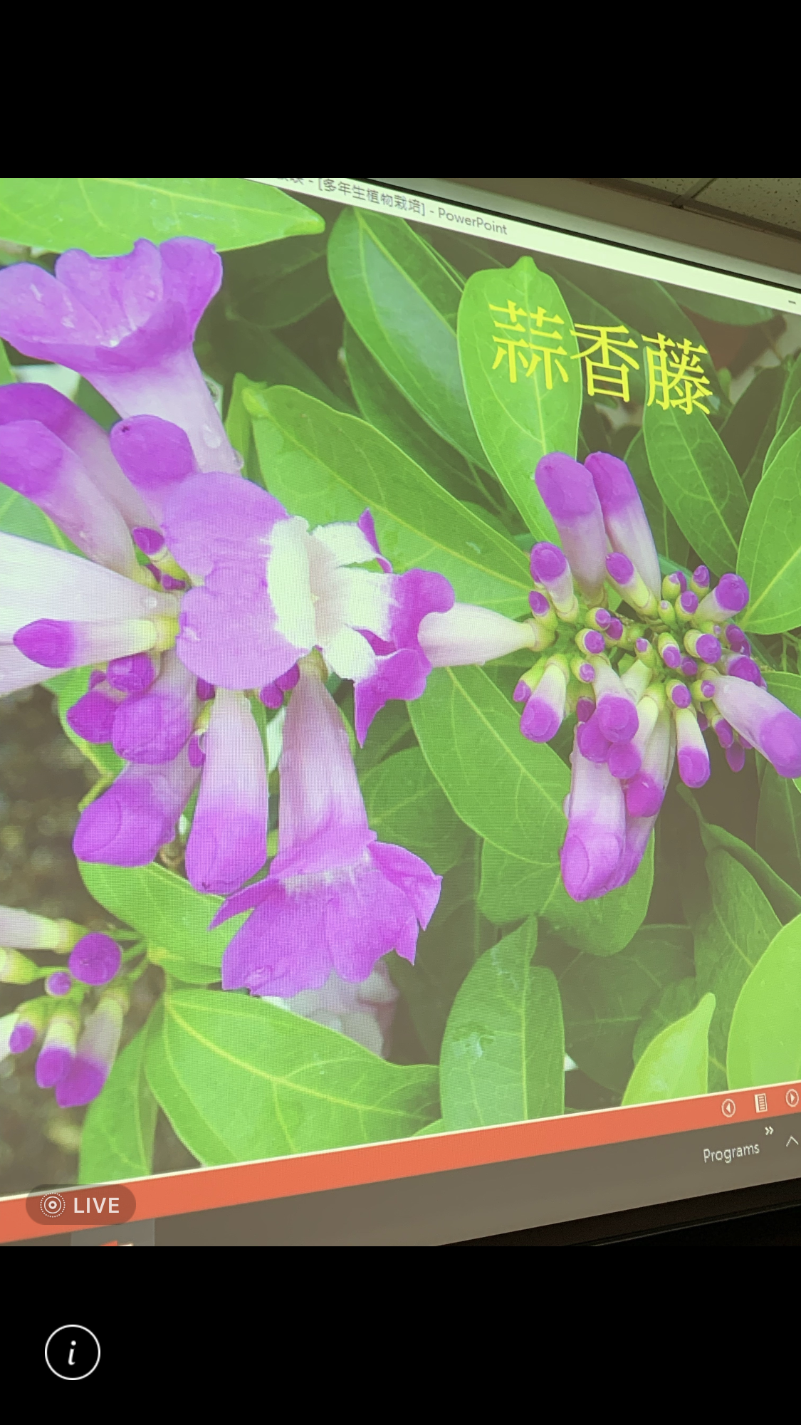 造園景觀訓練班