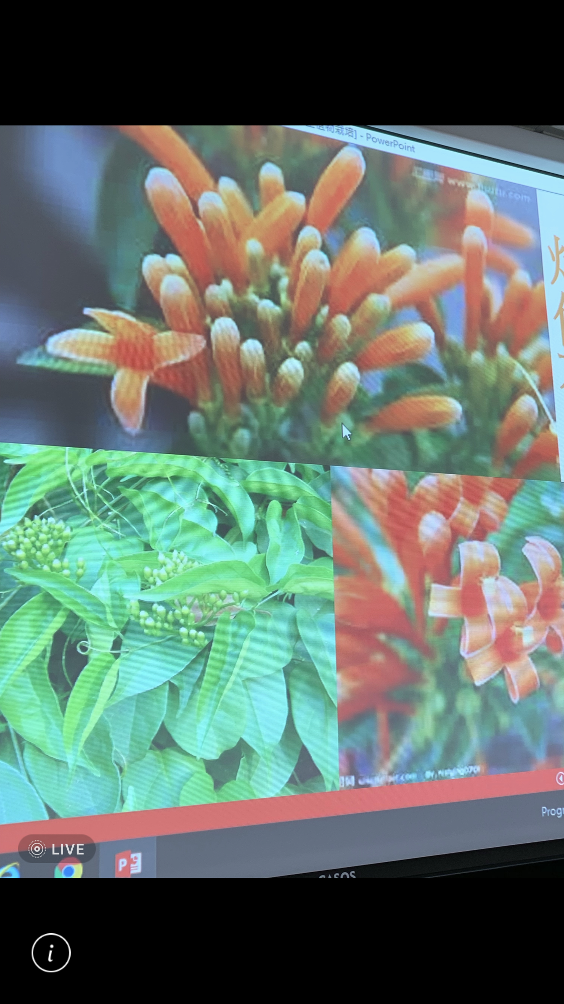 造園景觀訓練班