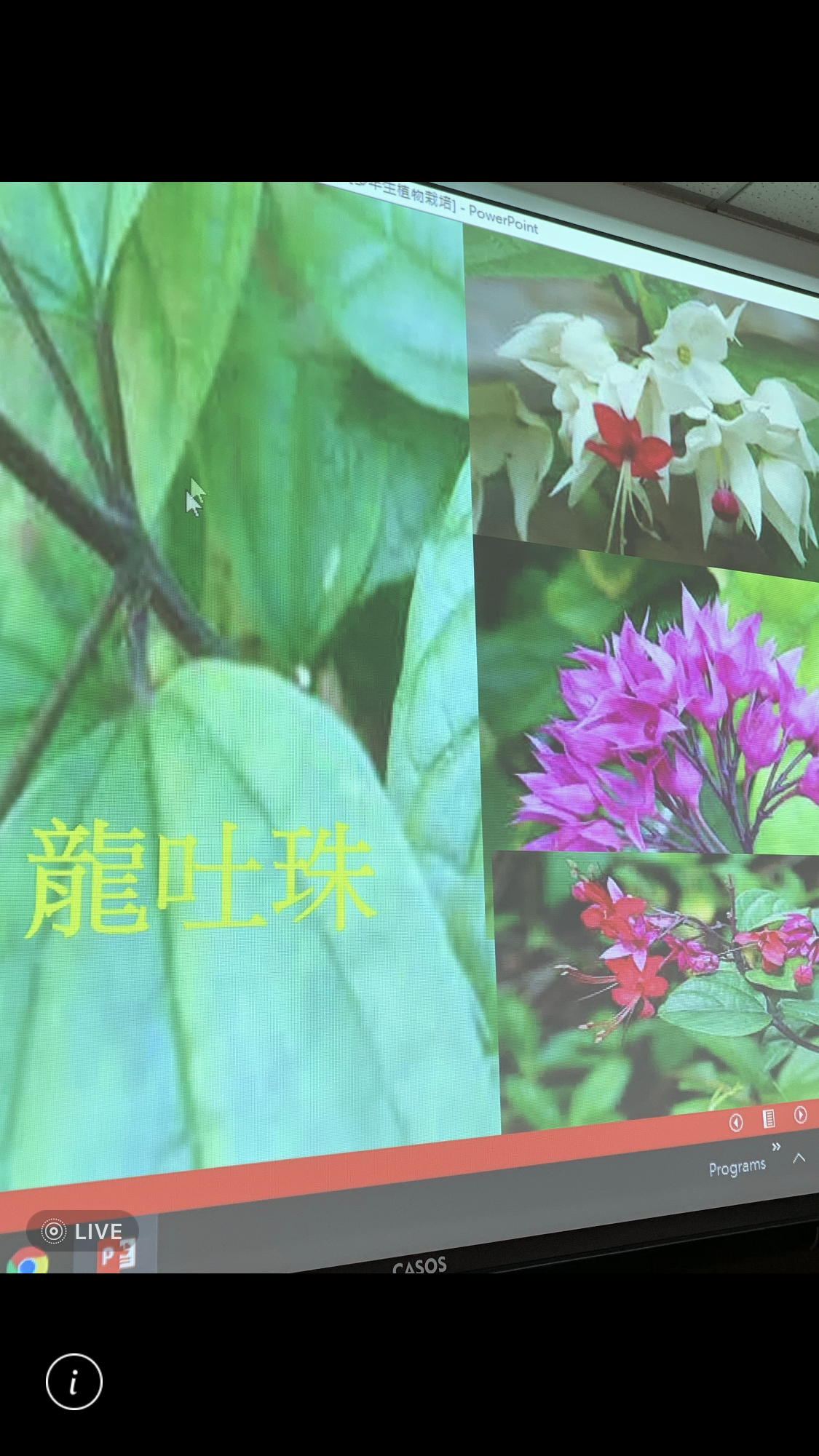 造園景觀訓練班