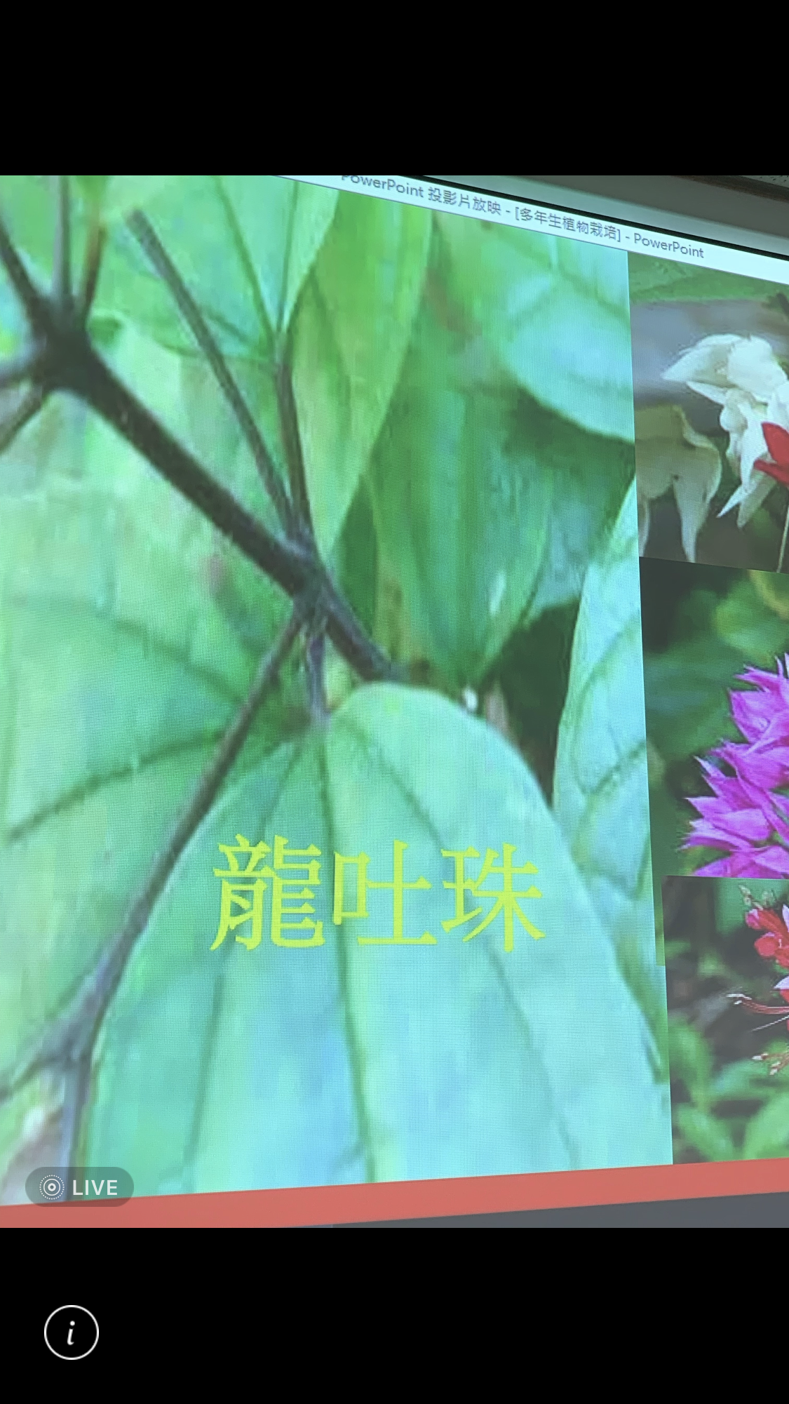 造園景觀訓練班