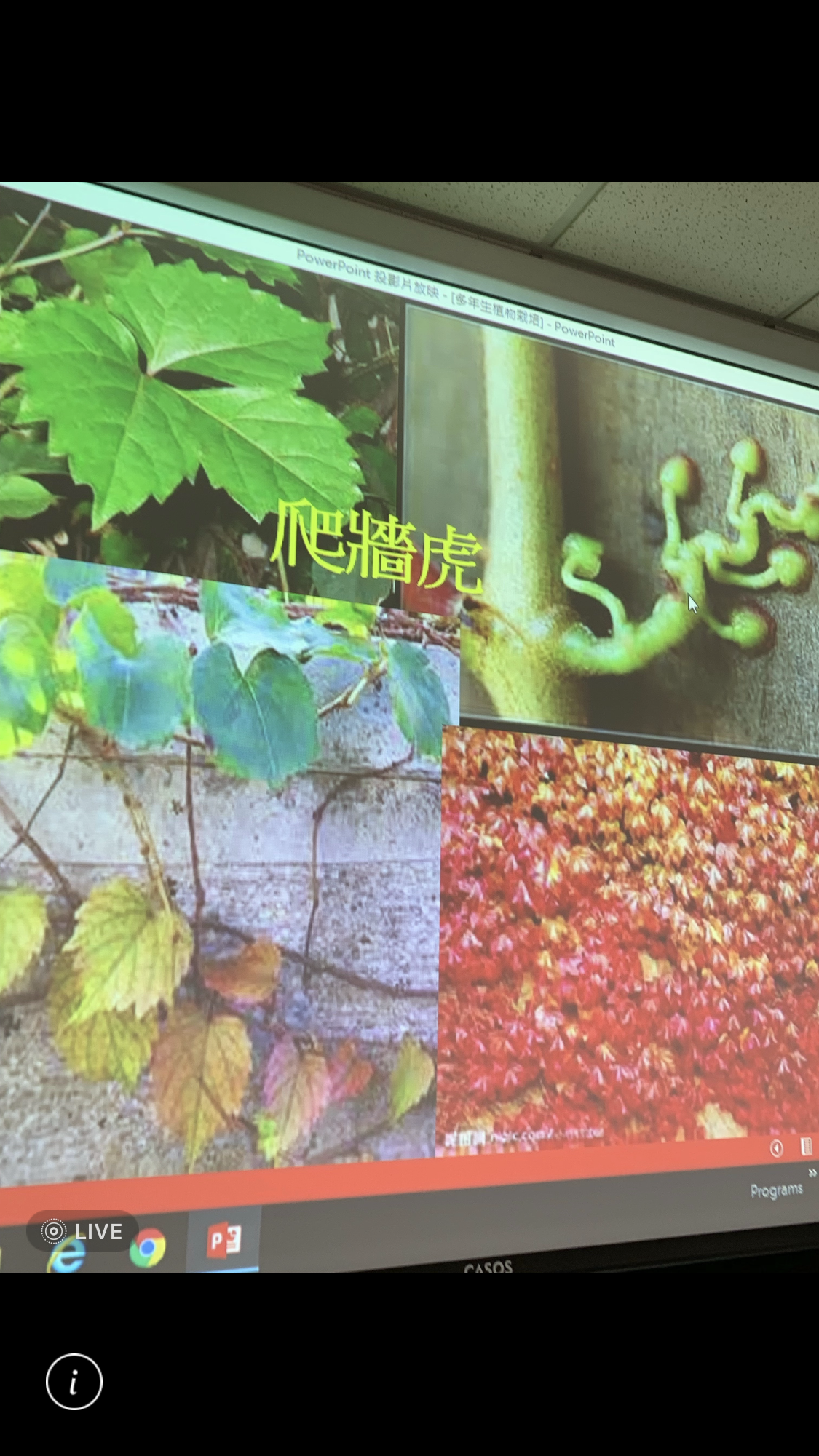 造園景觀訓練班