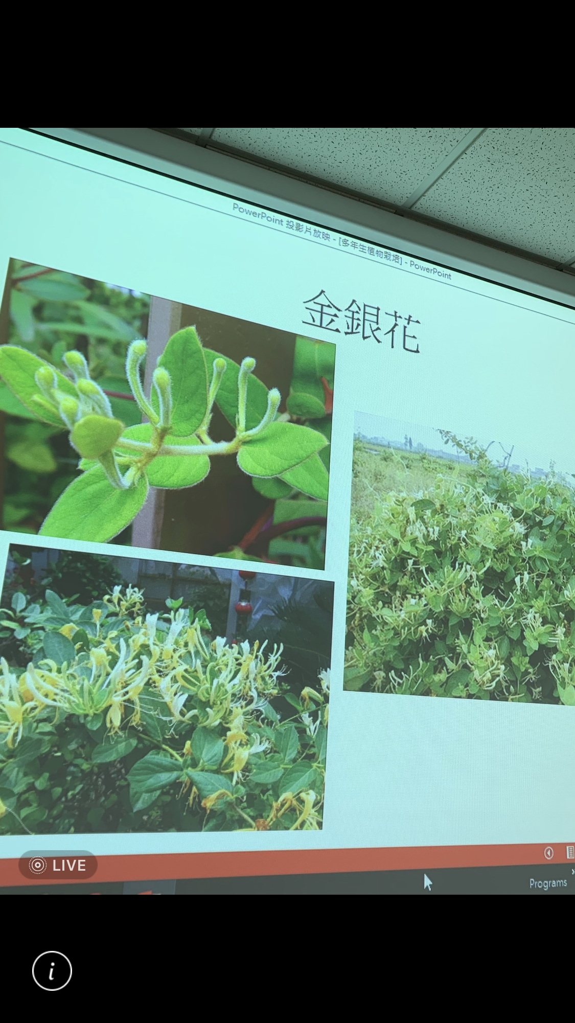 造園景觀訓練班