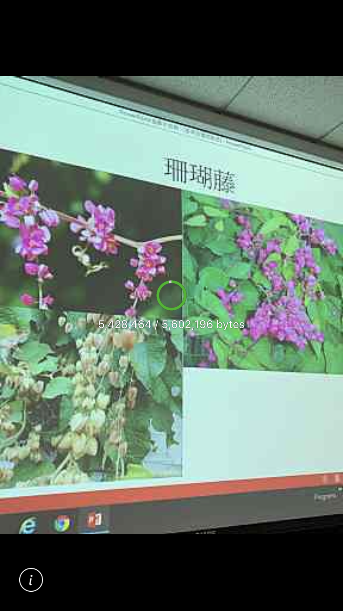 造園景觀訓練班