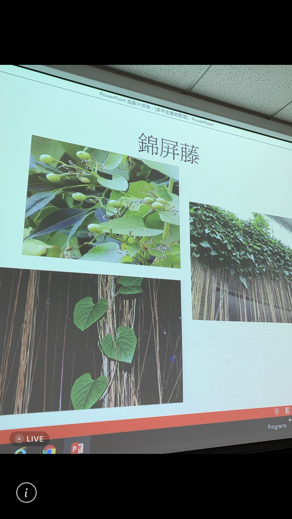 造園景觀訓練班