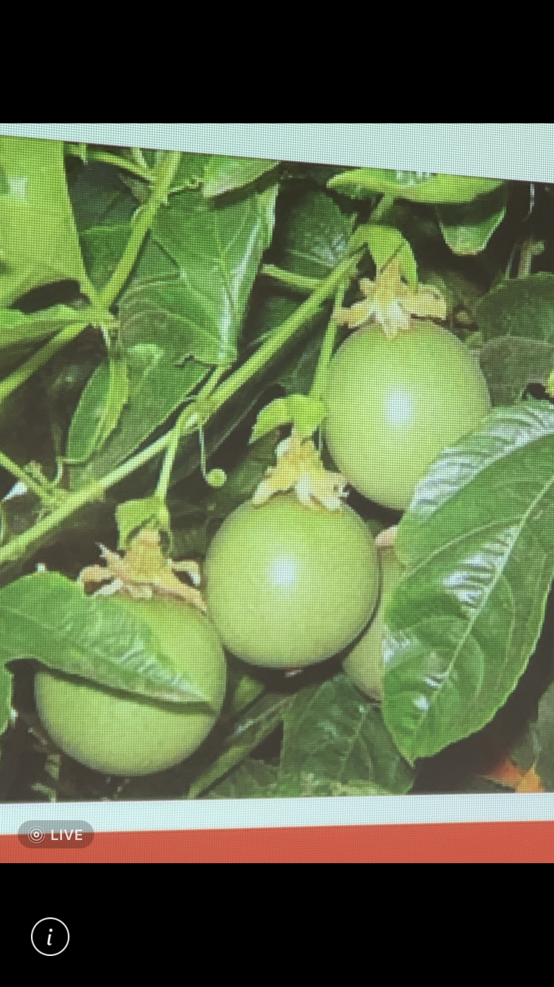 造園景觀訓練班